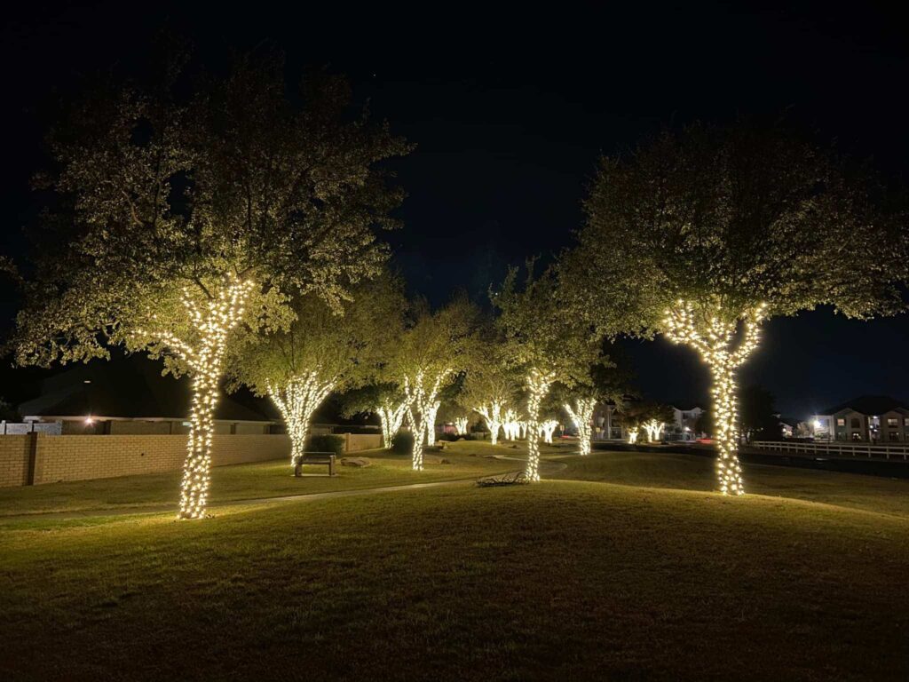 holiday lighting Georgetown TX